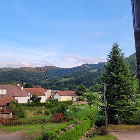 Appartement Chaleureux Au Coeur Des Hautes Vosges Ventron Buitenkant foto