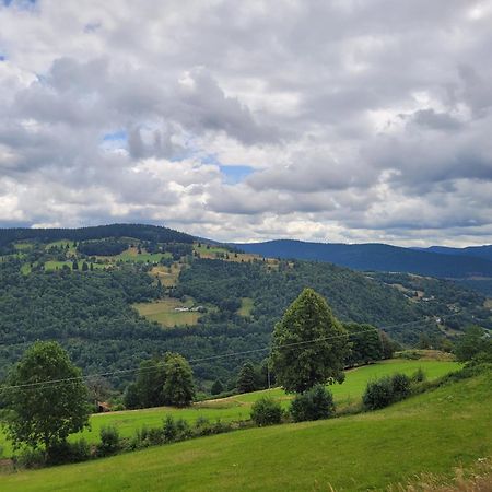 Appartement Chaleureux Au Coeur Des Hautes Vosges Ventron Buitenkant foto