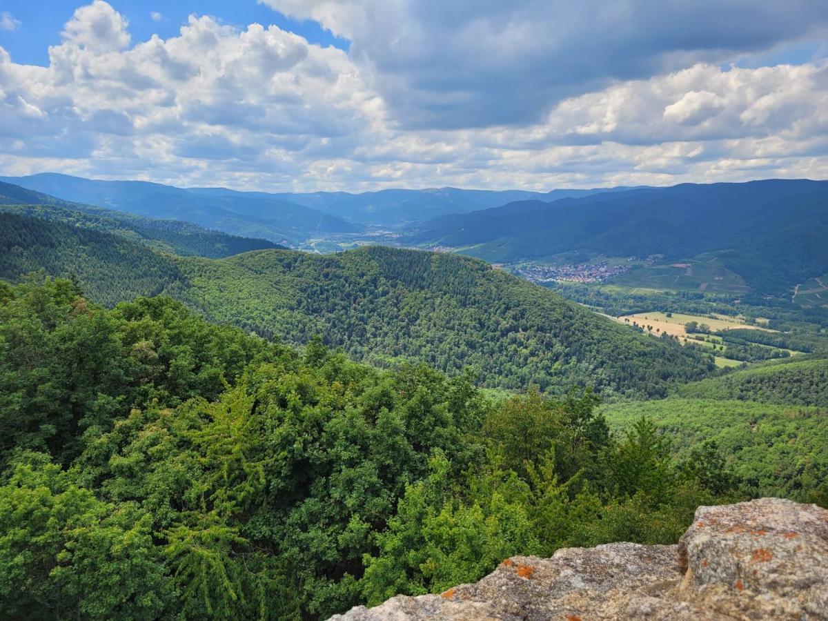 Appartement Chaleureux Au Coeur Des Hautes Vosges Ventron Buitenkant foto