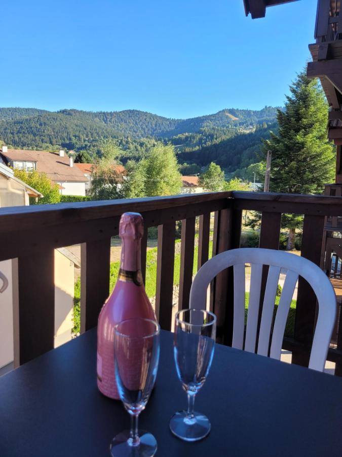 Appartement Chaleureux Au Coeur Des Hautes Vosges Ventron Buitenkant foto