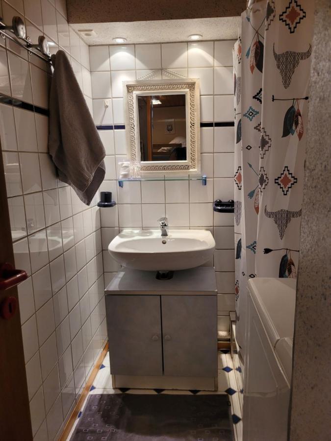 Appartement Chaleureux Au Coeur Des Hautes Vosges Ventron Buitenkant foto