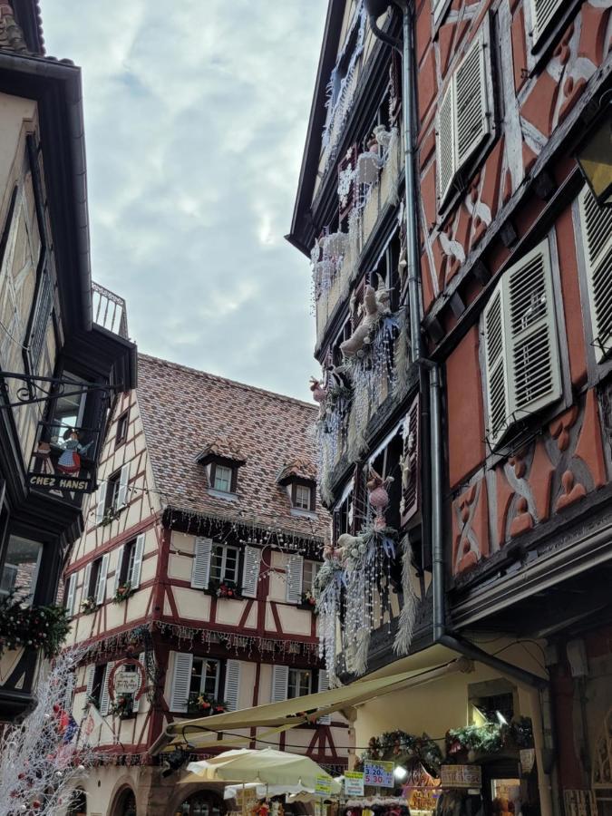 Appartement Chaleureux Au Coeur Des Hautes Vosges Ventron Buitenkant foto