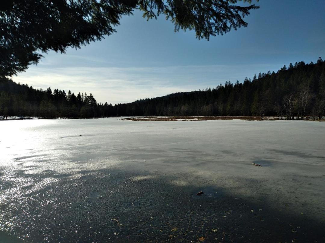 Appartement Chaleureux Au Coeur Des Hautes Vosges Ventron Buitenkant foto